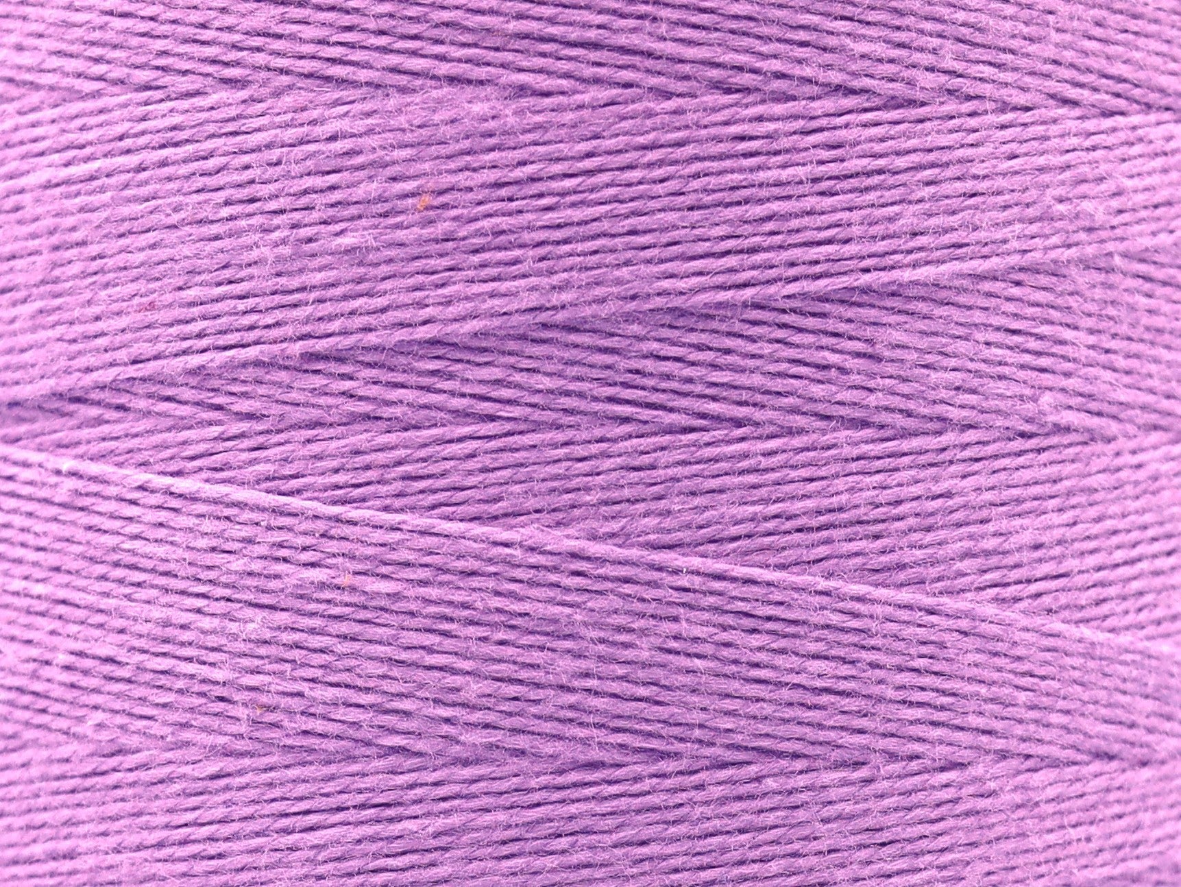 Fil de coton 100% 2/16 pour le tissage et le tricot