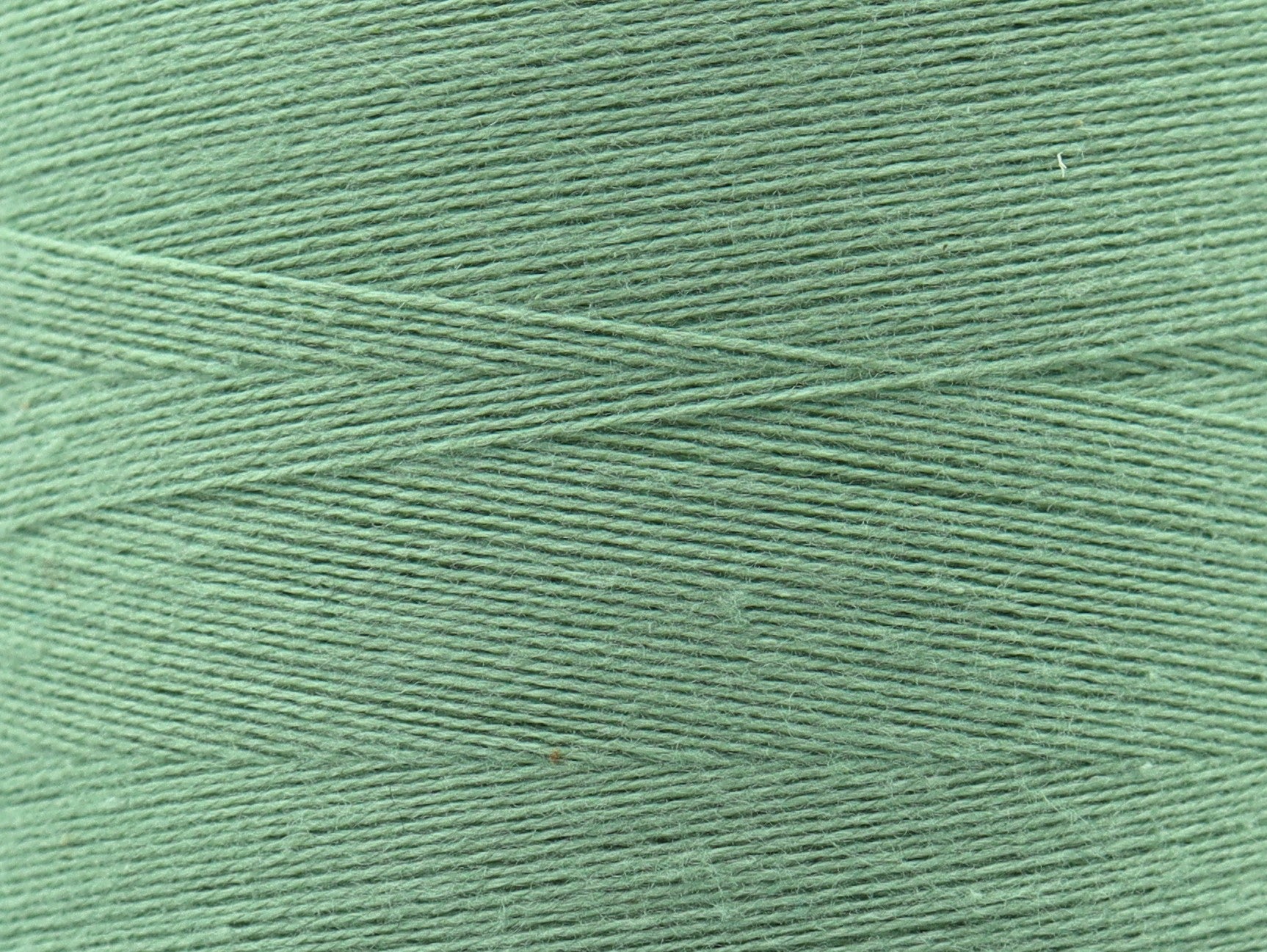 Fil de coton 100% 2/16 pour le tissage et le tricot