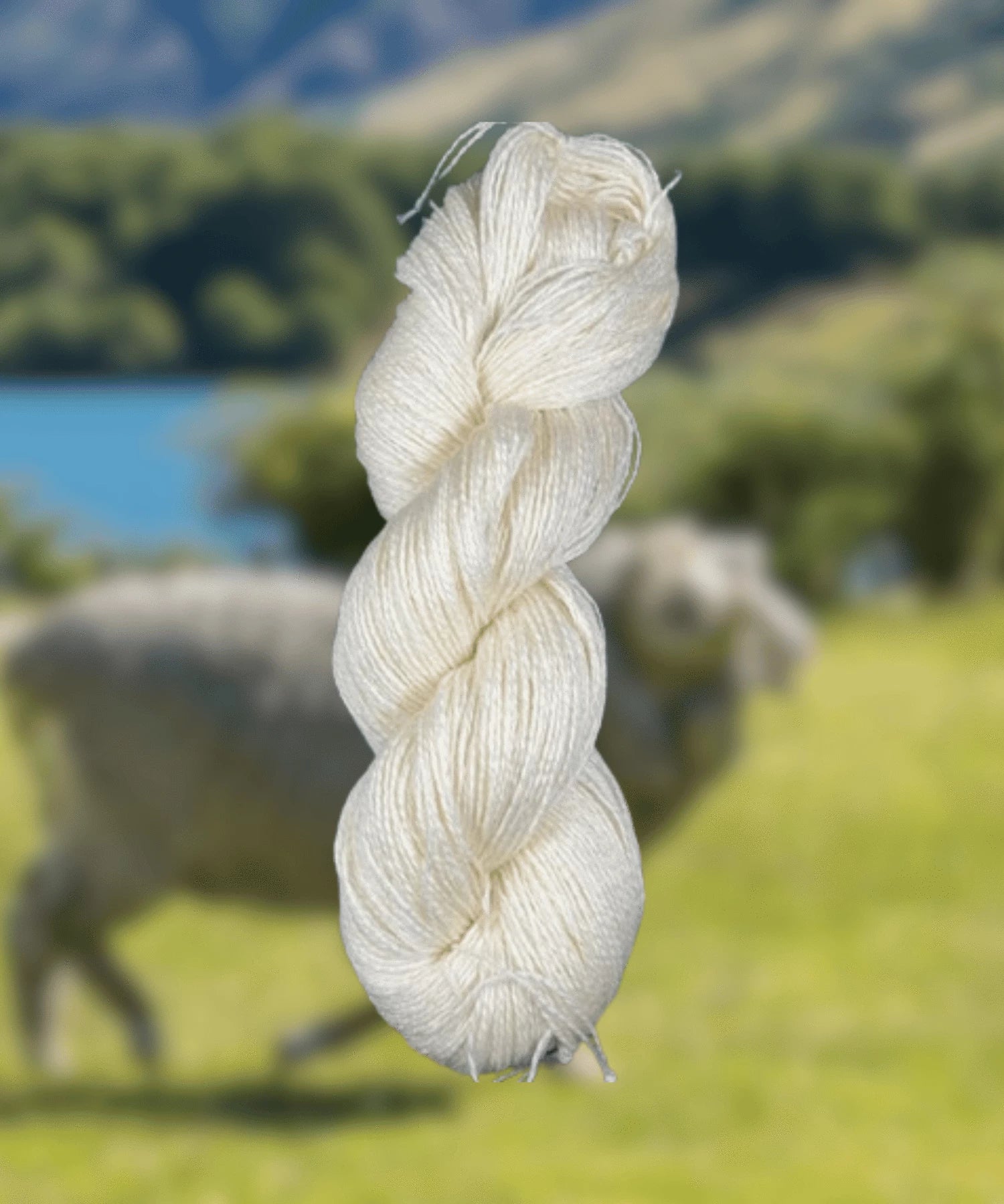 Dyeing Wools