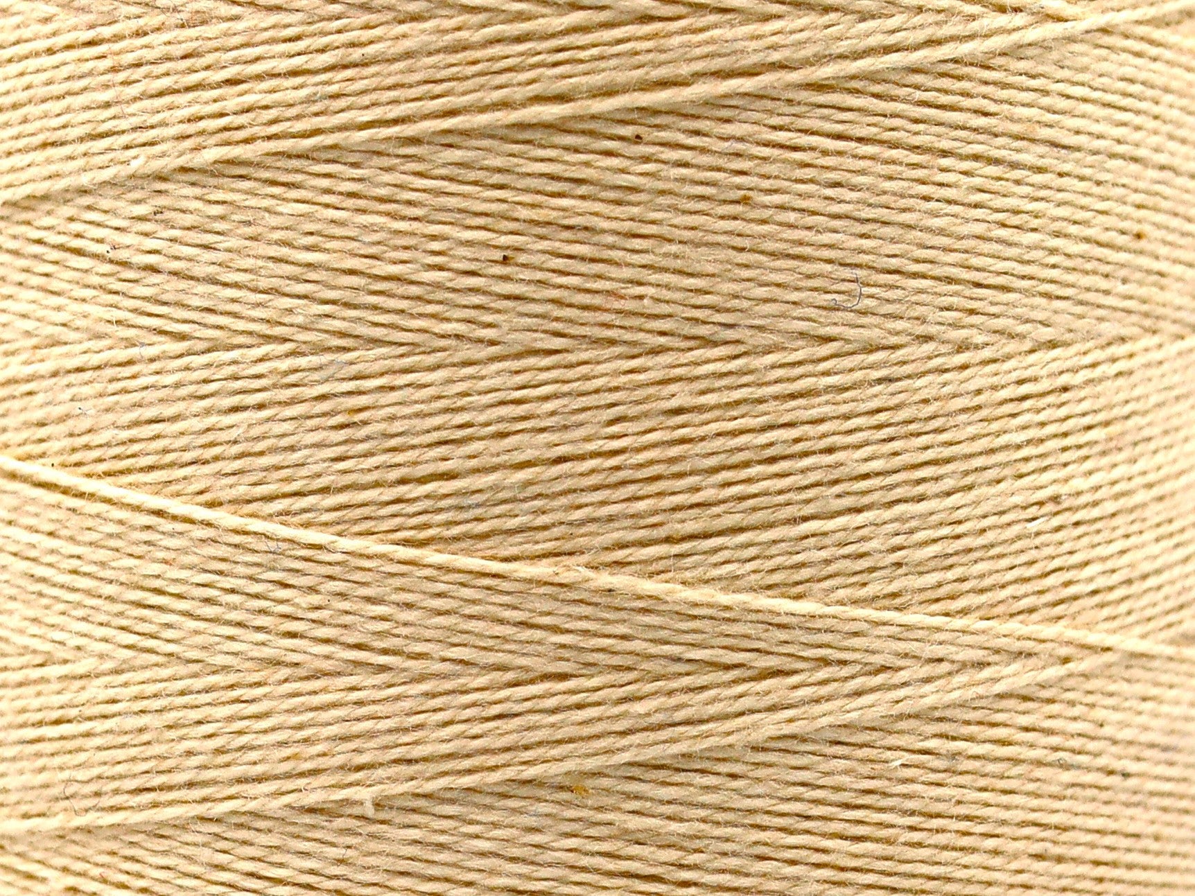 Fil de coton 100% 2/16 pour le tissage et le tricot