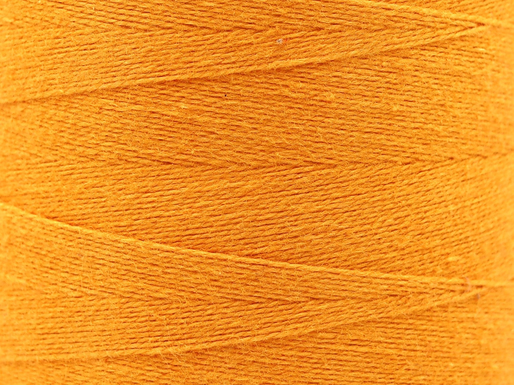 Fil de coton 100% 2/16 pour le tissage et le tricot